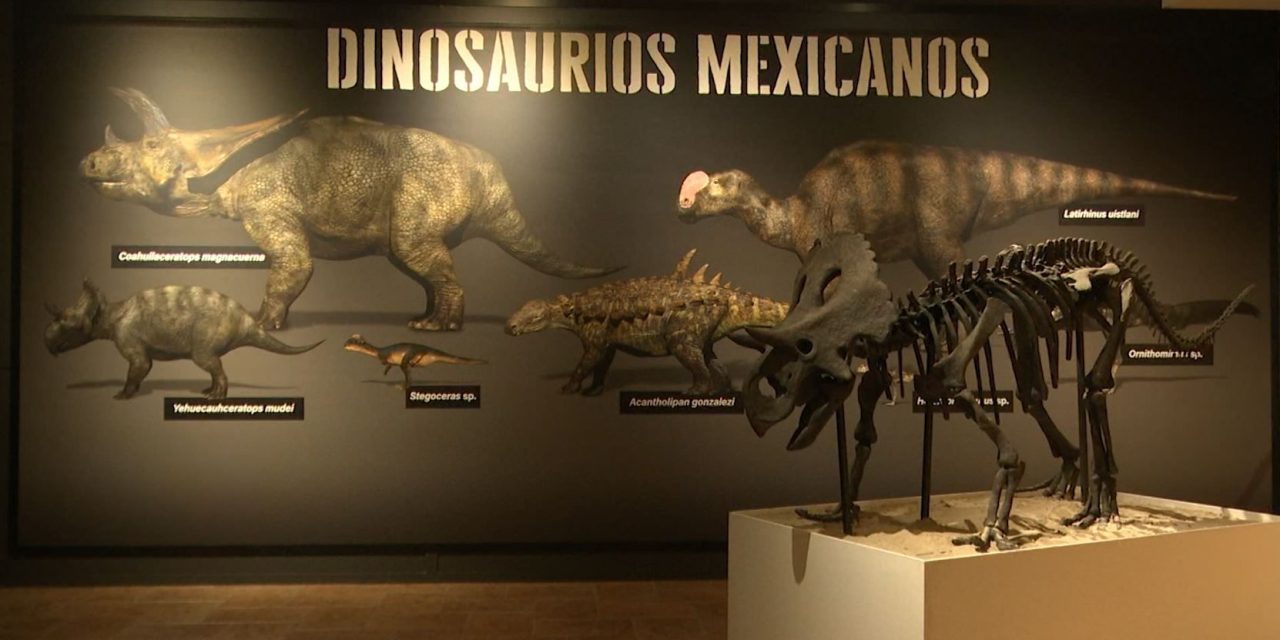 ‘Zona Dinos’ atrae visitantes al Museo del Desierto Saltillo