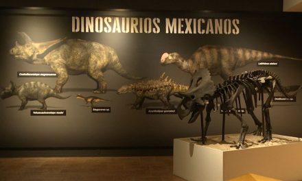 ‘Zona Dinos’ atrae visitantes al Museo del Desierto Saltillo