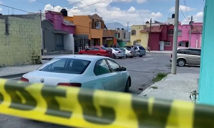 Cae de su propia altura y muere