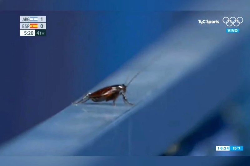 Camarógrafo ignora partido en Tokio 2020 para captar a una cucaracha en el estadio