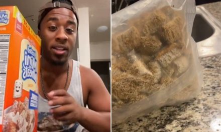Hombre encuentra gusanos en su cereal y se vuelve viral