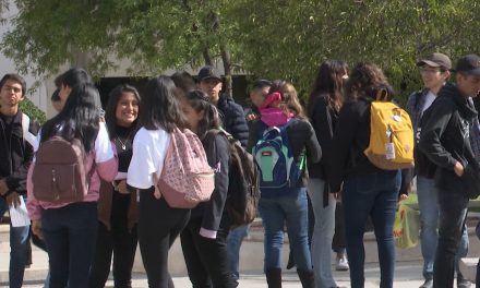 Educación y empleo en la juventud de Coahuila sufrieron los estragos del covid