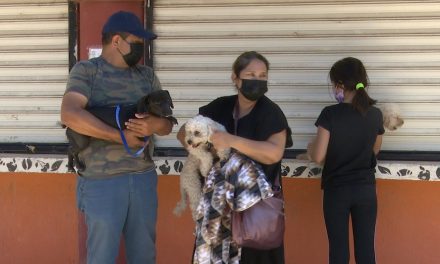 Lomitos y michis de Saltillo podrán esterilizarse a bajo costo en el Bosque Urbano
