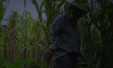 Proyectan documental saltillense ‘Allá en el Cielo’