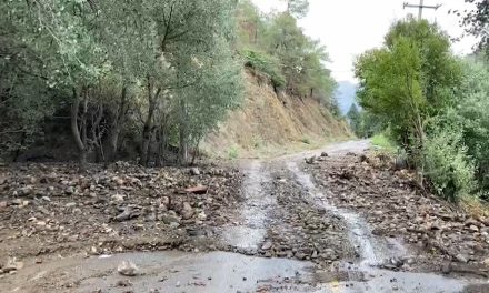 Deslaves le cuestan a Arteaga medio millón de pesos