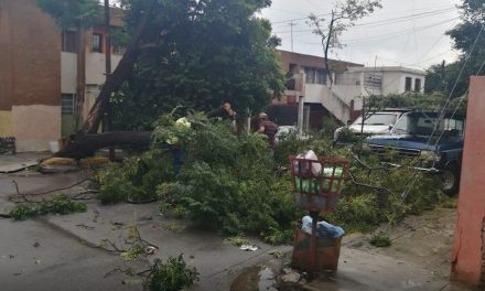 Respalda Municipio a ciudadanos afectados por fuertes lluvias