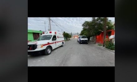Jovencita es brutalmente golpeada por su hermano en Saltillo