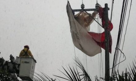 Impactante: joven cae de paracaídas en Puerto Vallarta