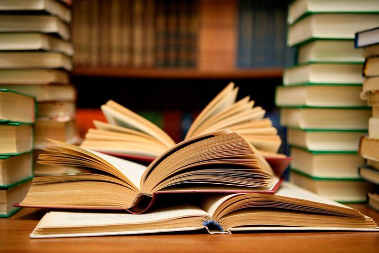 Lectura incrementa en un 70 por ciento en Saltillo