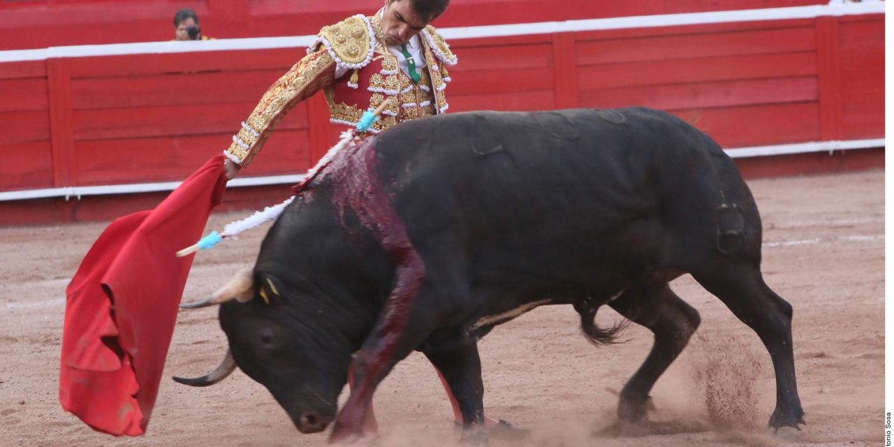 Vuelven toros a la Monumental Monterrey