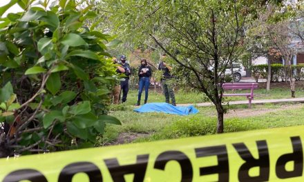 Encuentran a hombre sin vida en parque  de la colonia 26 de Marzo