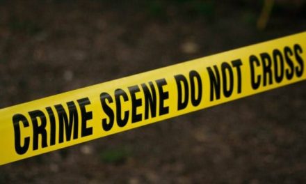 No para la violencia en Guanajuato: asesinan a mujer embarazada y su pareja