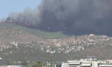 Miles de personas son evacuadas al sur de Francia por incendio forestal