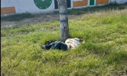 Reportan encobijado en Parras… era un indigente dormido