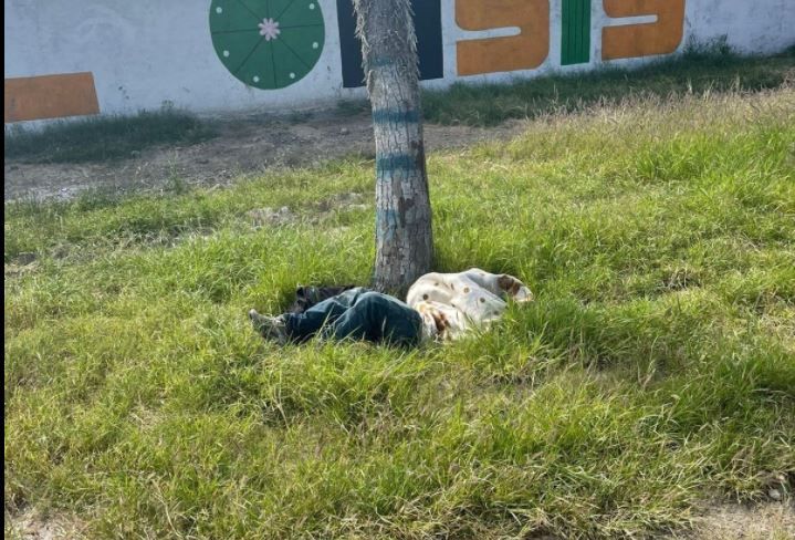 Reportan encobijado en Parras… era un indigente dormido