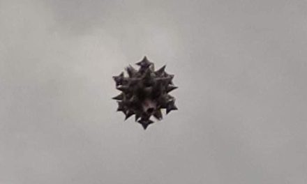 ¿Es un pájaro, un avión? Ovni con forma de Covid-19 sorprende a habitantes en Ecatepec