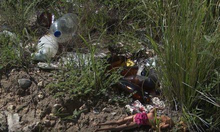 Vecinos tiran la basura en la Narro