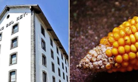 ¡La Casa del Maíz abre sus puertas!
