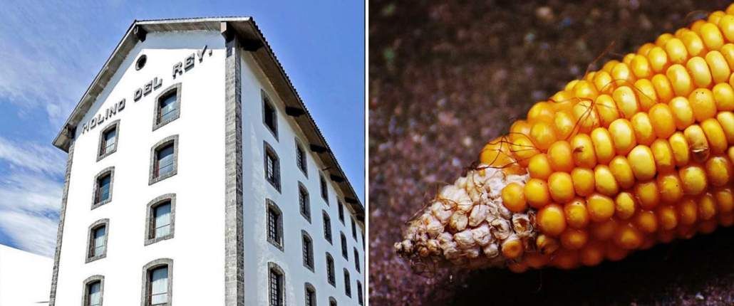 ¡La Casa del Maíz abre sus puertas!