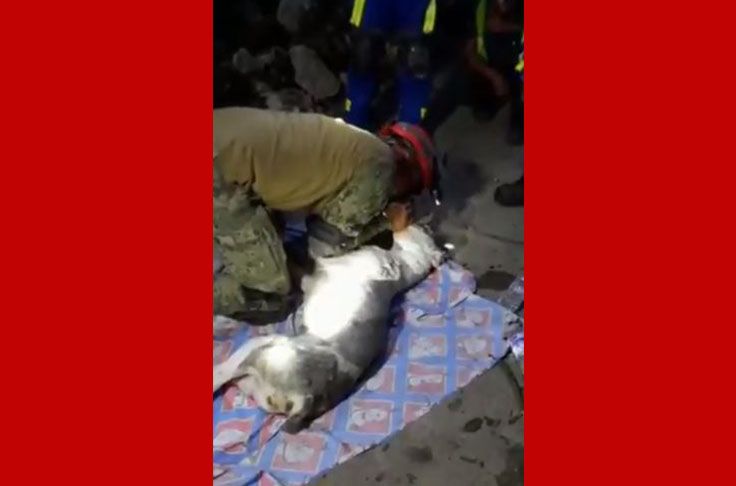 El video que conmociona a México: Soldado llora tras no poder revivir a perro rescatado en derrumbe de Chiquihuite