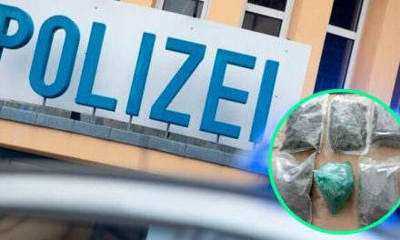 Capturan a narco alemán; se queda dormido y llama a Emergencias