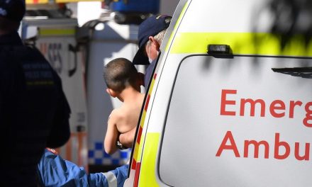 Rescatan a niño autista de 3 años en bosque de Australia; tenía 4 días desaparecido