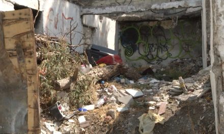 Aplican 13 sanciones por contaminar calles de Saltillo