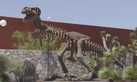 Paleontólogos de Sabinas piden firmas para creación de parque temático