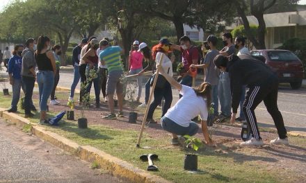 Reforestan Camporredondo de la UAdeC