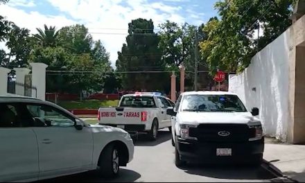 Enjambre ataca a trabajadores en Parras; uno cae desde 3 metros