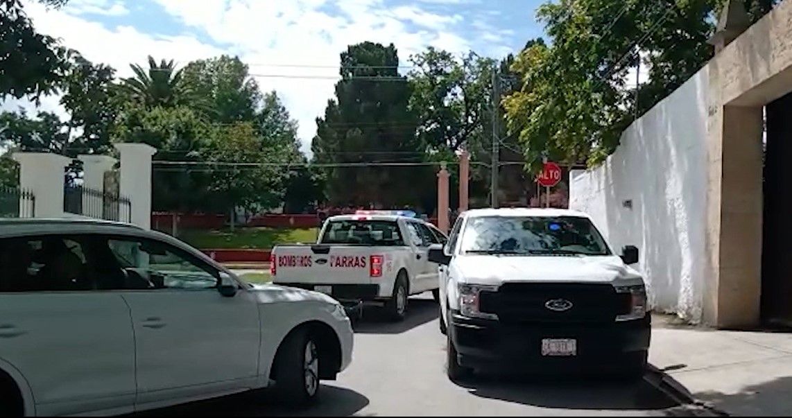Enjambre ataca a trabajadores en Parras; uno cae desde 3 metros