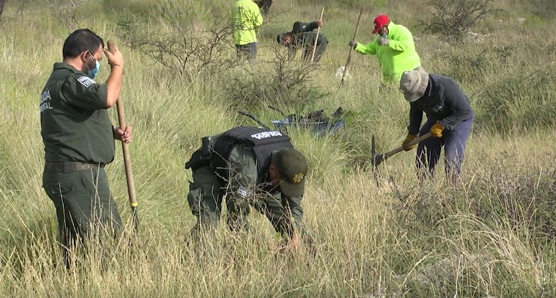 Plantan 10 mil pinos en la sierra de Zapalinamé