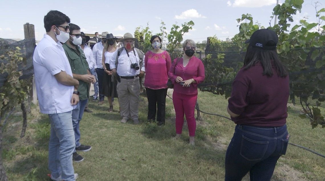 Ruta ‘Vinos y Dinos’ reactiva el turismo en la Región Sureste