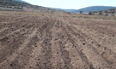 Piden más recursos para el campo coahuilense