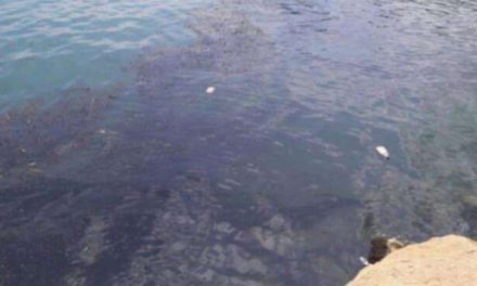 Huracán Ida provoca fuga de petróleo en el Golfo de México