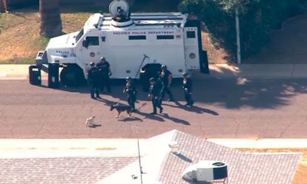 Pug empieza pelea con perro policía durante operativo (video)