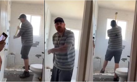 Albañil explota contra mujer y destruye baño porque no le pagan (Video)
