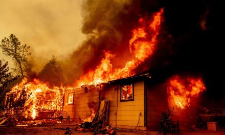 Chamana es acusada de iniciar un incendio forestal en California… todo comenzó por hervir orina de oso