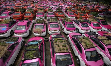Taxistas protestan en Tailandia