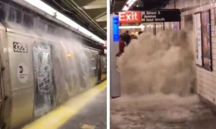 Nueva York en estado de emergencia por huracán Ida; se inunda toda la ciudad