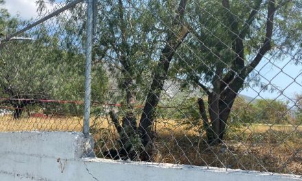Encuentran cráneo dentro de primaria en Monterrey