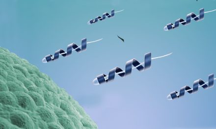 ¿Tus espermatozoides son lentos? Spermbot es el microrobot que ayuda a los espermas a encontrar el camino