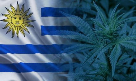 Uruguay crea una clínica de cannabis al sistema de salud