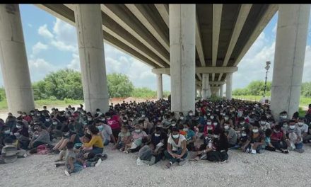 Frenan migración ilegal