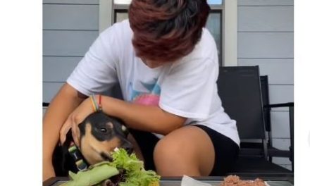 Epic Fail: Presume a su perrita ‘vegetariana’ y video le sale mal