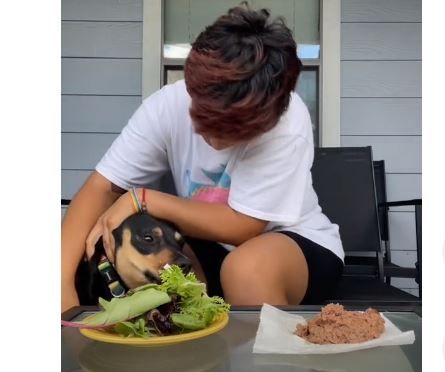 Epic Fail: Presume a su perrita ‘vegetariana’ y video le sale mal