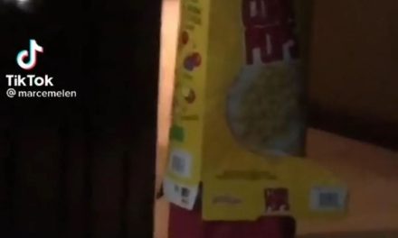 ‘No puedo quitarme la caja de pops’; niño se atora en caja de cereal y se vuelve viral (video)