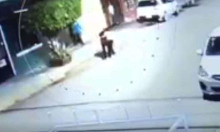 Sale a la luz video del momento en que mujer apuñala a sus hijos en Irapuato
