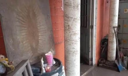 ¡Aparición divina! Hallan tabla con imagen de la Virgen en Hidalgo