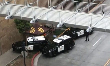 Madre y su hijo de 2 años mueren al caerse en el estadio de los Padres de San Diego